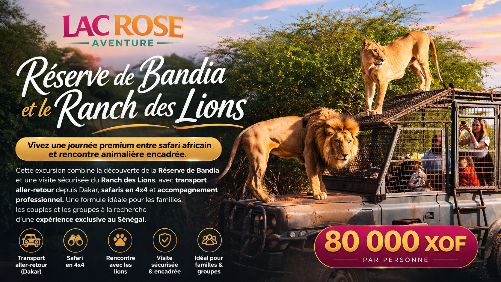 Excursion Réserve de Bandia et Ranch des Lions au Sénégal avec safari en 4x4 et rencontre sécurisée avec les lions - Lac Rose Tour Aventure